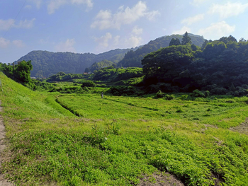 350x 3d381aab 0dc2 4237 bf5d 6ebe0650b368